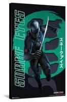 G.I. Joe: Snake Eyes - Green-Trends International-Stretched Canvas