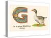 G is a Goose-null-Stretched Canvas