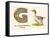 G is a Goose-null-Framed Stretched Canvas