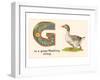 G is a Goose-null-Framed Art Print