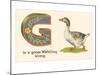 G is a Goose-null-Mounted Art Print