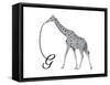 G is for Giraffe-Stacy Hsu-Framed Stretched Canvas