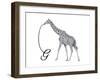 G is for Giraffe-Stacy Hsu-Framed Art Print