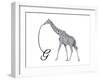 G is for Giraffe-Stacy Hsu-Framed Art Print