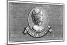 Wood Mount