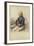 G L Von Blucher, Field Marshal of the Prussian Forces (1742-1819)-German School-Framed Giclee Print