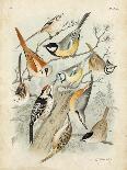 Gathering of Birds I-G. Lubbert-Mounted Art Print