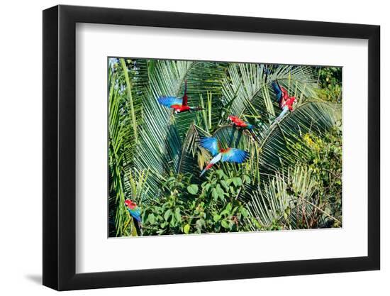 Premium Photographic Print, , large