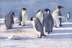 Return of the Penguins-G Marston-Stretched Canvas