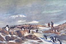 Return of the Penguins-G Marston-Stretched Canvas