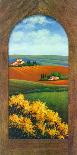 Summer Day in Umbria II-G^ Pino-Mounted Art Print