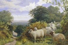 High Pasture-G. Shalders-Mounted Giclee Print