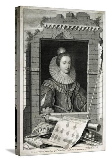 Stretched Canvas Print, , large