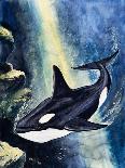 Killer Whale-G. W Backhouse-Framed Giclee Print
