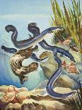 The Eel's Amazing Journey-G. W Backhouse-Giclee Print