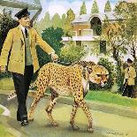 Puma on the Prowl, 1963-G. W Backhouse-Giclee Print