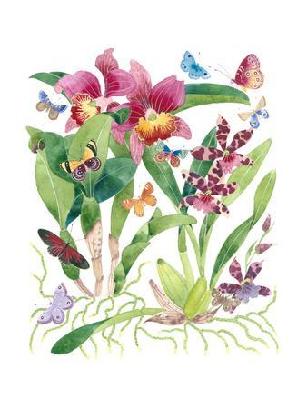 Butterflies and Orchids 2
