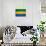 Gabon Flag Design with Wood Patterning - Flags of the World Series-Philippe Hugonnard-Art Print displayed on a wall