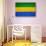 Gabon Flag Design with Wood Patterning - Flags of the World Series-Philippe Hugonnard-Stretched Canvas displayed on a wall