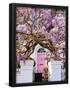 Essential Black