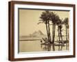 Brown Frame