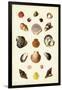 Gramercy Black