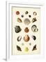 Gramercy White