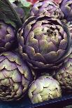 This is a Close-Up Shot of Fresh Artichokes in Rome's Market at Campo Dei'fiori.-Gabriel Scott-Photographic Print