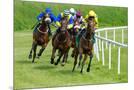 Wood Mount