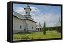 Framed Canvas
