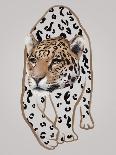 Il Leopardo No.I-Gabriella Roberg-Photographic Print