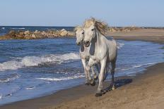 Wimereux Beach, Cote D'Opale, Region Nord-Pas De Calais, France, Europe-Gabrielle and Michel Therin-Weise-Photographic Print