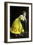 Gabrielle Ray (1883-197), English Actress, Early 20th Century-Foulsham and Banfield-Framed Giclee Print