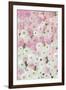 Gabry painterly ranunculus-Rosana Laiz Garcia-Framed Giclee Print