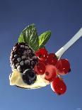 A Spoonful of Berries and Vanilla Pudding-Gaby Bohle-Framed Stretched Canvas