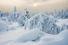 Nordic Winter Forest with Lots of Snow on Trees-gadag-Photographic Print