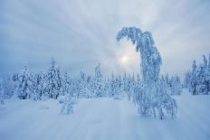 Winter Landscape-gadag-Photographic Print