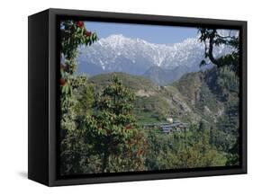 Gaddi Village, Dhaula Dhar Range, Western Himalayas, India, Asia-David Poole-Framed Stretched Canvas