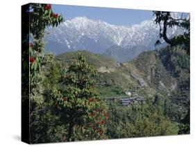 Gaddi Village, Dhaula Dhar Range, Western Himalayas, India, Asia-David Poole-Stretched Canvas