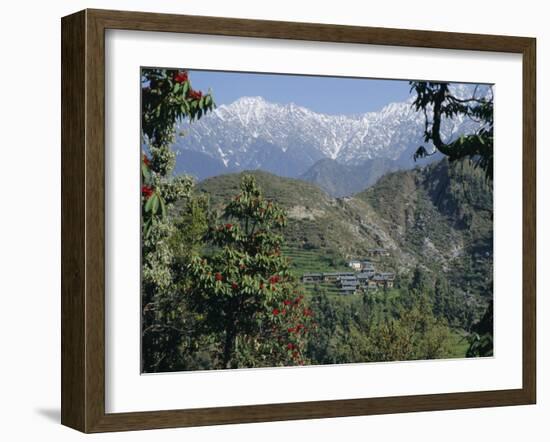 Gaddi Village, Dhaula Dhar Range, Western Himalayas, India, Asia-David Poole-Framed Photographic Print