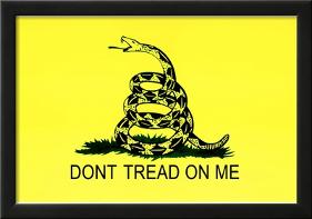 Gadsden Flag (Don't Tread On Me) Tea Party Historical Poster-null-Lamina Framed Poster