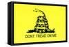 Gadsden Flag (Don't Tread On Me) Tea Party Historical-null-Framed Stretched Canvas