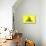 Gadsden Flag (Don't Tread On Me) Tea Party Historical-null-Stretched Canvas displayed on a wall