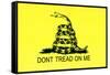 Gadsden Flag (Don't Tread On Me) Tea Party Historical-null-Framed Stretched Canvas