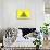 Gadsden Flag (Don't Tread On Me) Tea Party Historical-null-Stretched Canvas displayed on a wall