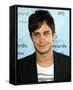 Gael García Bernal-null-Framed Stretched Canvas