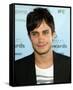 Gael García Bernal-null-Framed Stretched Canvas