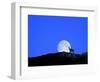 Gämse with Full Moon (M)-Ludwig Mallaun-Framed Photographic Print