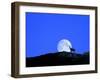 Gämse with Full Moon (M)-Ludwig Mallaun-Framed Photographic Print