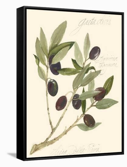 Gaeta Olives-Elissa Della-piana-Framed Stretched Canvas